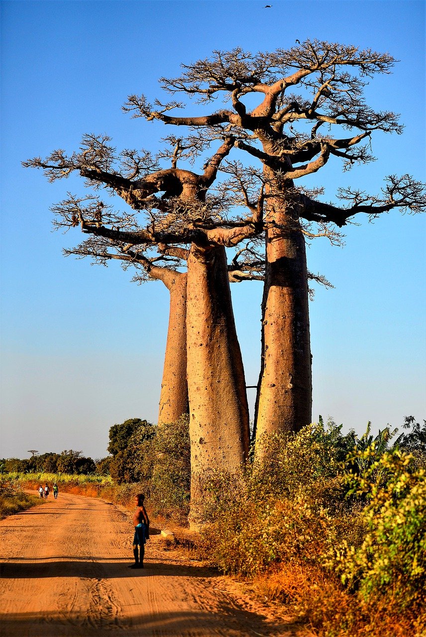 Nicomatic Senegal