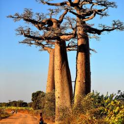 Nicomatic Senegal